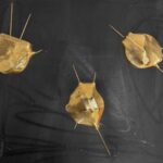 Magdalena Gołaszewska - "Menisk" - rzeźba