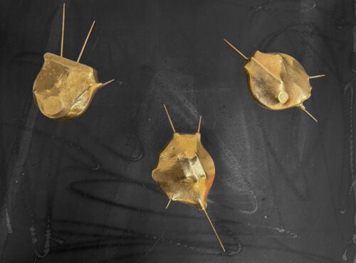 Magdalena Gołaszewska - "Menisk" - rzeźba